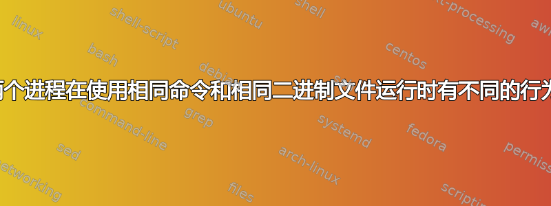 两个进程在使用相同命令和相同二进制文件运行时有不同的行为