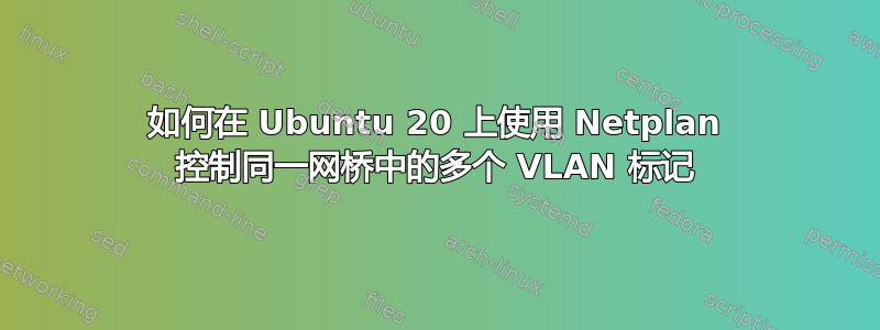 如何在 Ubuntu 20 上使用 Netplan 控制同一网桥中的多个 VLAN 标记