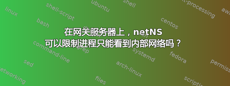 在网关服务器上，netNS 可以限制进程只能看到内部网络吗？