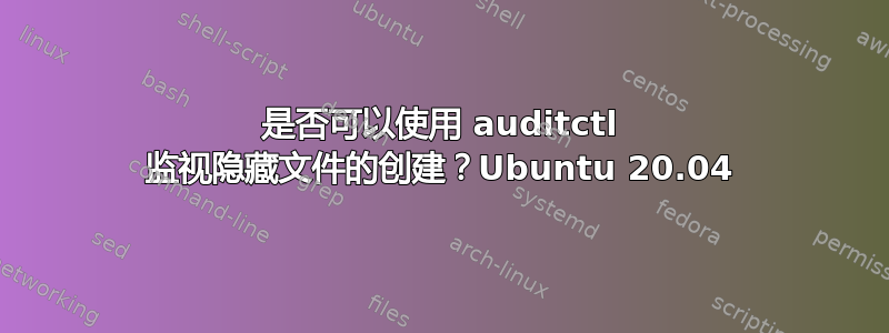 是否可以使用 auditctl 监视隐藏文件的创建？Ubuntu 20.04