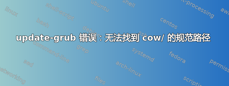 update-grub 错误：无法找到 cow/ 的规范路径