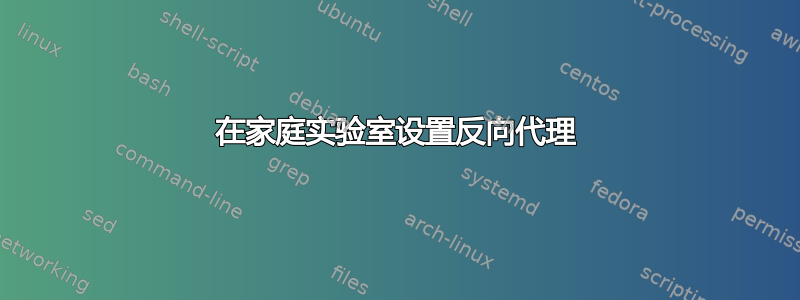 在家庭实验室设置反向代理