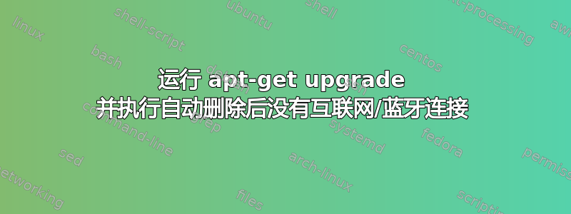 运行 apt-get upgrade 并执行自动删除后没有互联网/蓝牙连接