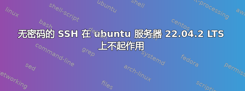 无密码的 SSH 在 ubuntu 服务器 22.04.2 LTS 上不起作用