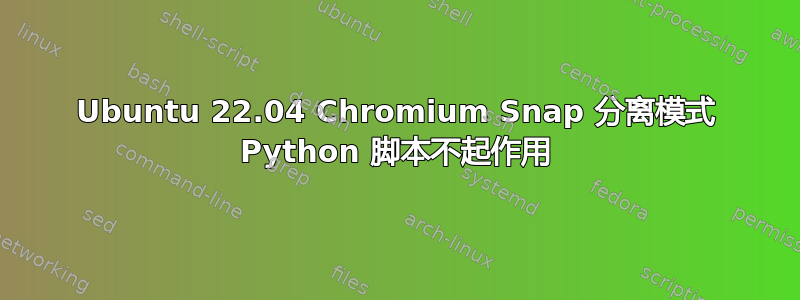 Ubuntu 22.04 Chromium Snap 分离模式 Python 脚本不起作用