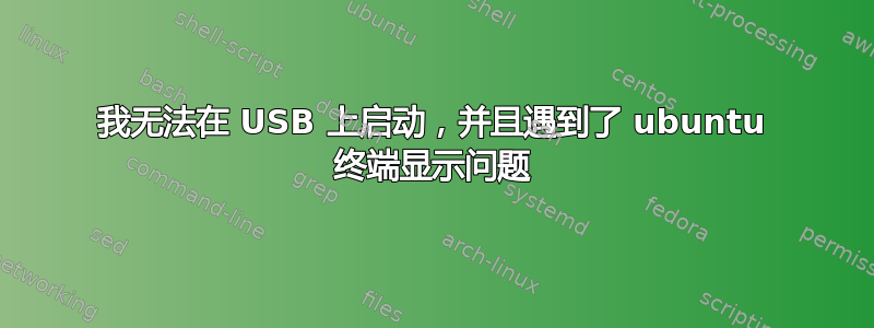 我无法在 USB 上启动，并且遇到了 ubuntu 终端显示问题