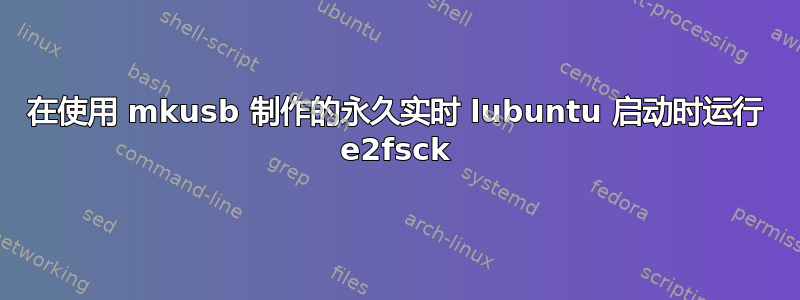 在使用 mkusb 制作的永久实时 lubuntu 启动时运行 e2fsck