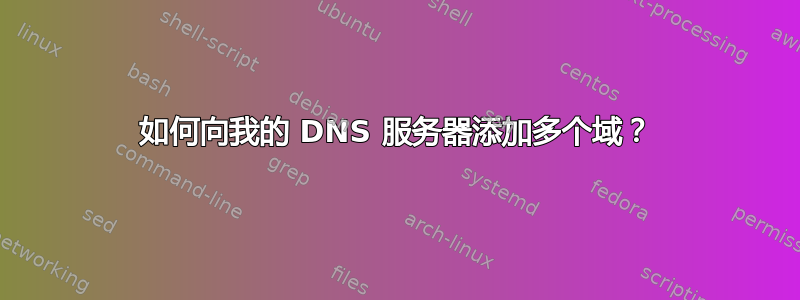 如何向我的 DNS 服务器添加多个域？