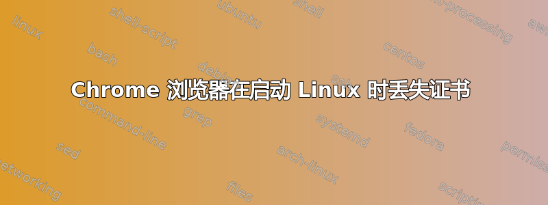 Chrome 浏览器在启动 Linux 时丢失证书