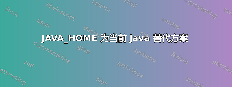 JAVA_HOME 为当前 java 替代方案