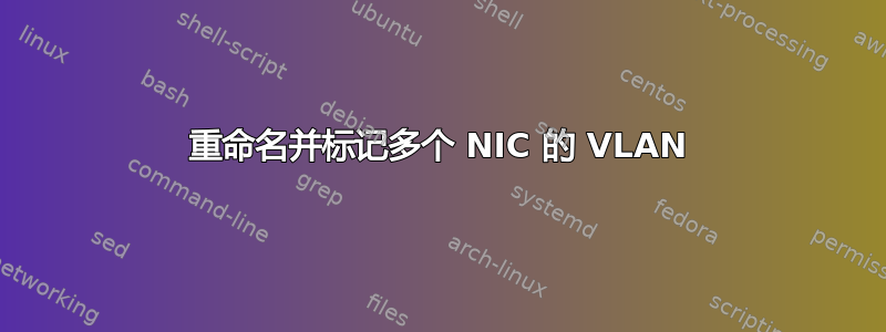 重命名并标记多个 NIC 的 VLAN