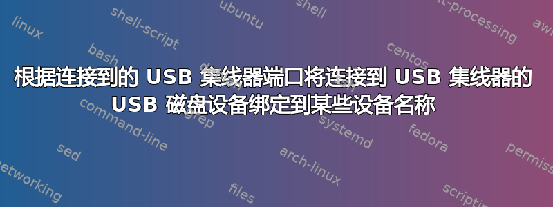 根据连接到的 USB 集线器端口将连接到 USB 集线器的 USB 磁盘设备绑定到某些设备名称