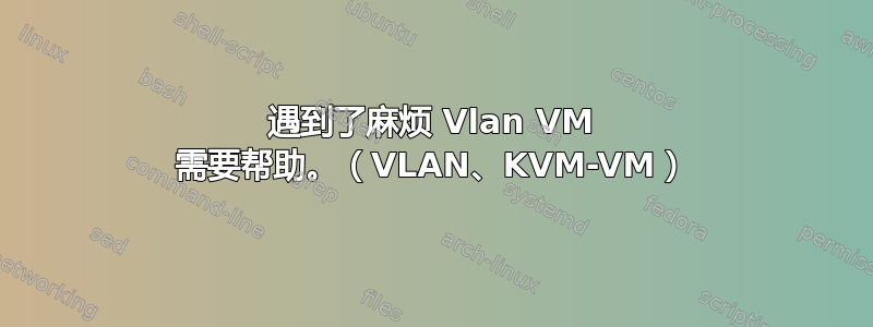 遇到了麻烦 Vlan VM 需要帮助。（VLAN、KVM-VM）