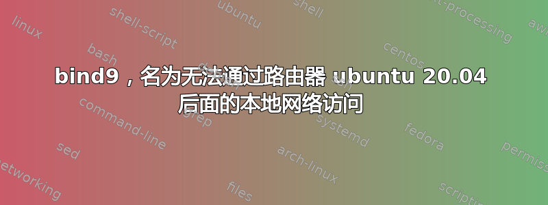 bind9，名为无法通过路由器 ubuntu 20.04 后面的本地网络访问