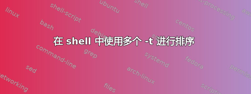 在 shell 中使用多个 -t 进行排序