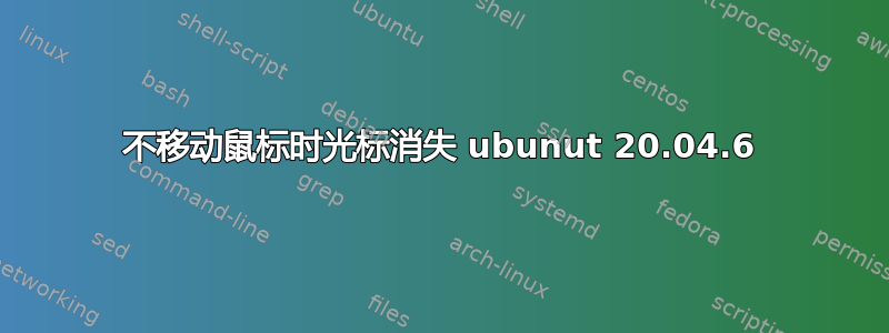 不移动鼠标时光标消失 ubunut 20.04.6