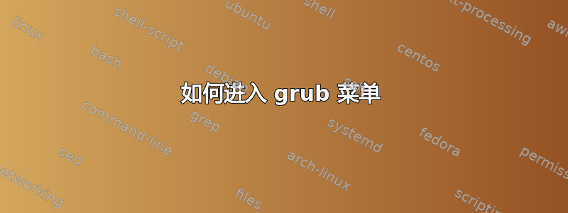 如何进入 grub 菜单