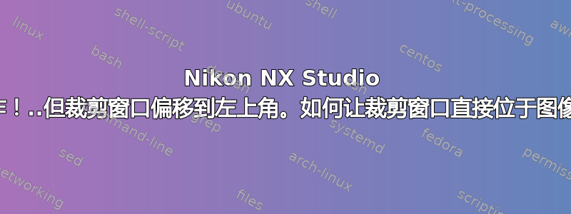 Nikon NX Studio 可以工作！..但裁剪窗口偏移到左上角。如何让裁剪窗口直接位于图像上方？