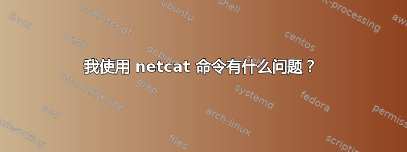 我使用 netcat 命令有什么问题？