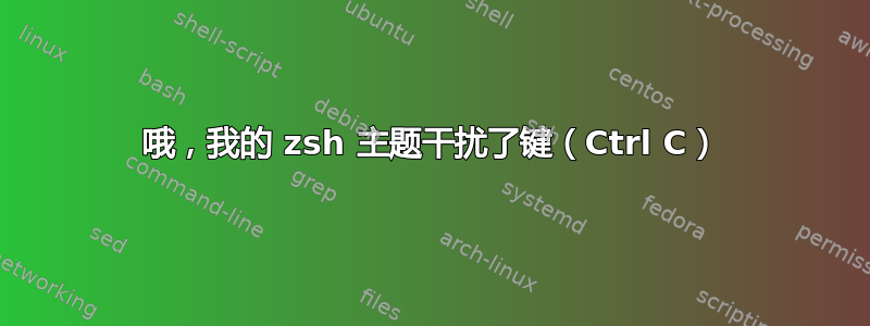 哦，我的 zsh 主题干扰了键（Ctrl C）