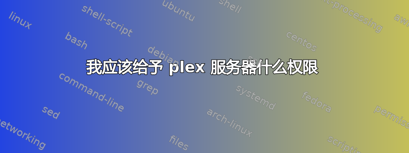 我应该给予 plex 服务器什么权限