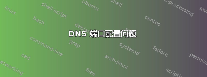 DNS 端口配置问题