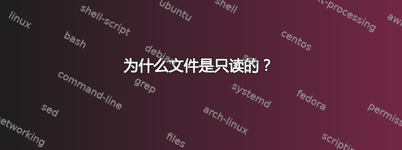 为什么文件是只读的？