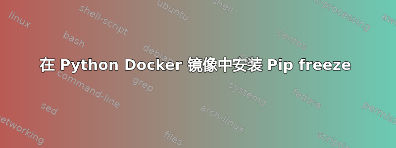 在 Python Docker 镜像中安装 Pip freeze