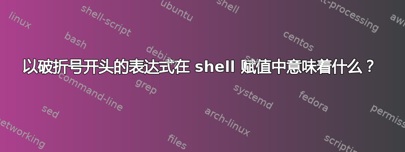 以破折号开头的表达式在 shell 赋值中意味着什么？