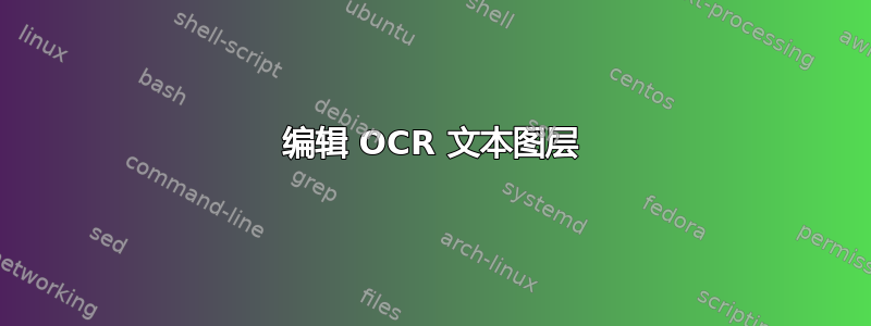 编辑 OCR 文本图层