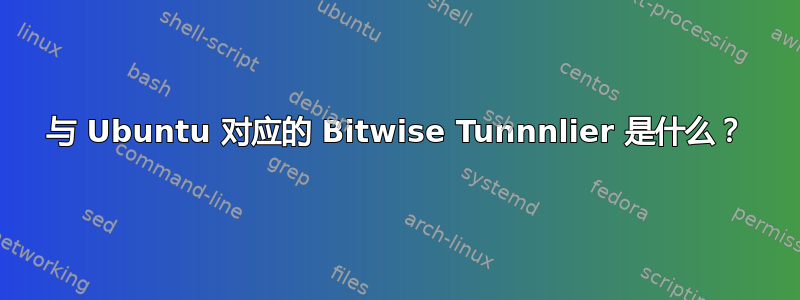 与 Ubuntu 对应的 Bitwise Tunnnlier 是什么？