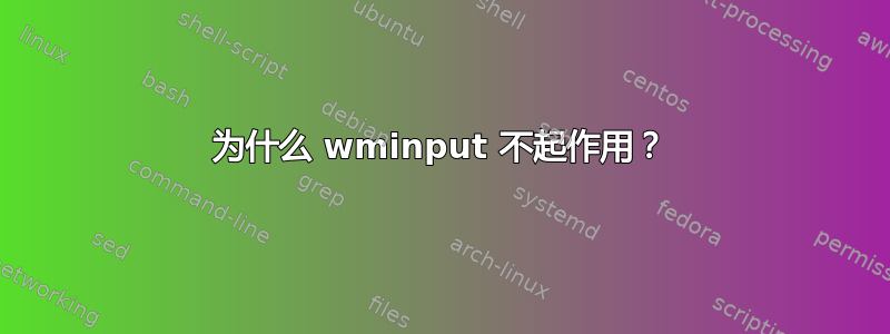 为什么 wminput 不起作用？