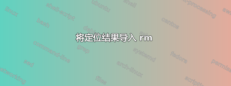 将定位结果导入 rm