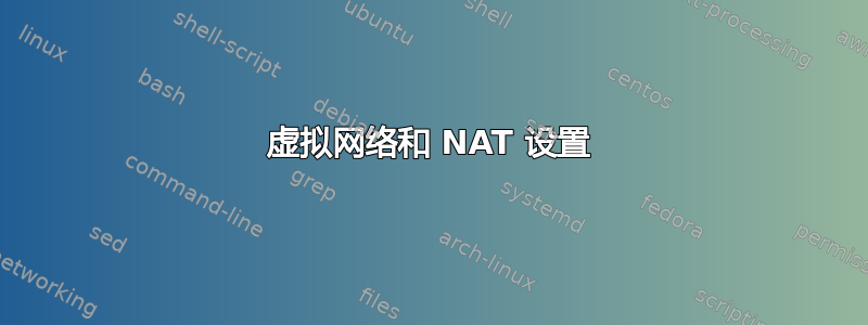 虚拟网络和 NAT 设置