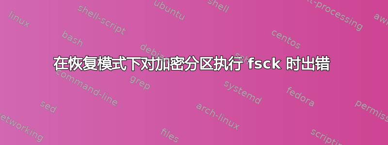 在恢复模式下对加密分区执行 fsck 时出错