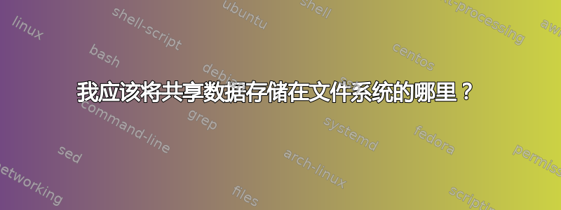 我应该将共享数据存储在文件系统的哪里？