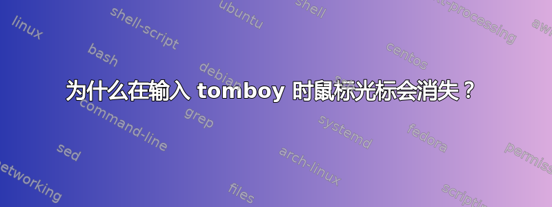 为什么在输入 tomboy 时鼠标光标会消失？