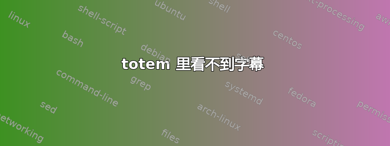 totem 里看不到字幕