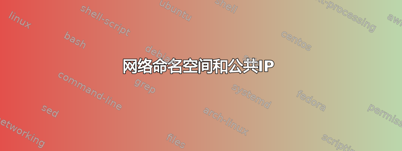 网络命名空间和公共IP