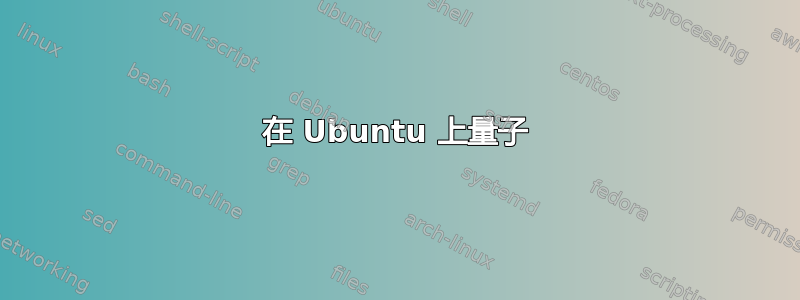 在 Ubuntu 上量子