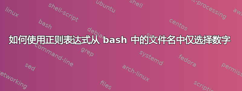 如何使用正则表达式从 bash 中的文件名中仅选择数字