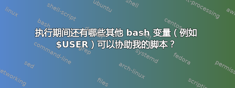 执行期间还有哪些其他 bash 变量（例如 $USER）可以协助我的脚本？