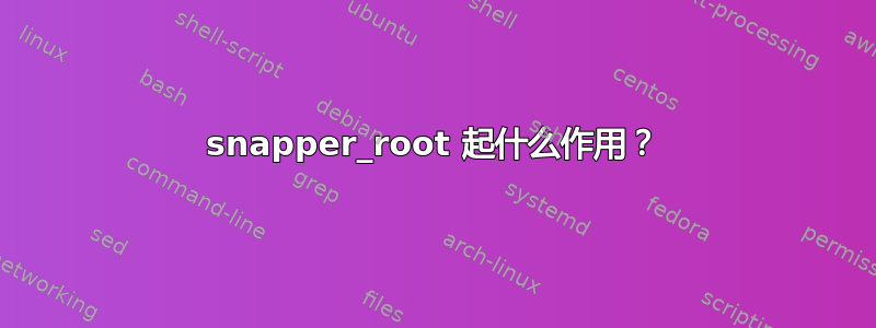 snapper_root 起什么作用？