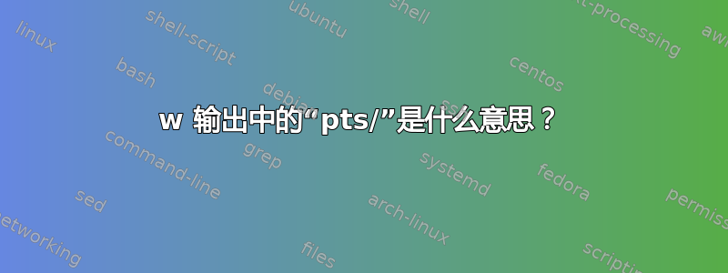 w 输出中的“pts/”是什么意思？