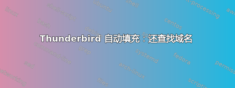 Thunderbird 自动填充：还查找域名