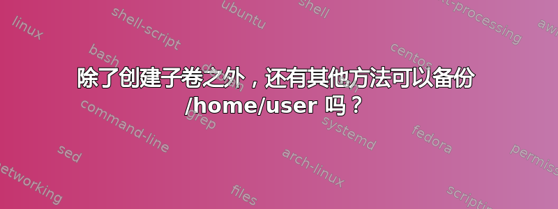 除了创建子卷之外，还有其他方法可以备份 /home/user 吗？