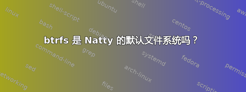 btrfs 是 Natty 的默认文件系统吗？