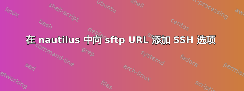 在 nautilus 中向 sftp URL 添加 SSH 选项