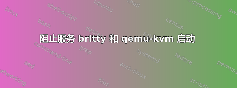 阻止服务 brltty 和 qemu-kvm 启动