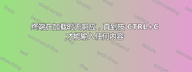 终端在加载时无响应，直到按 CTRL+C 才能输入任何内容